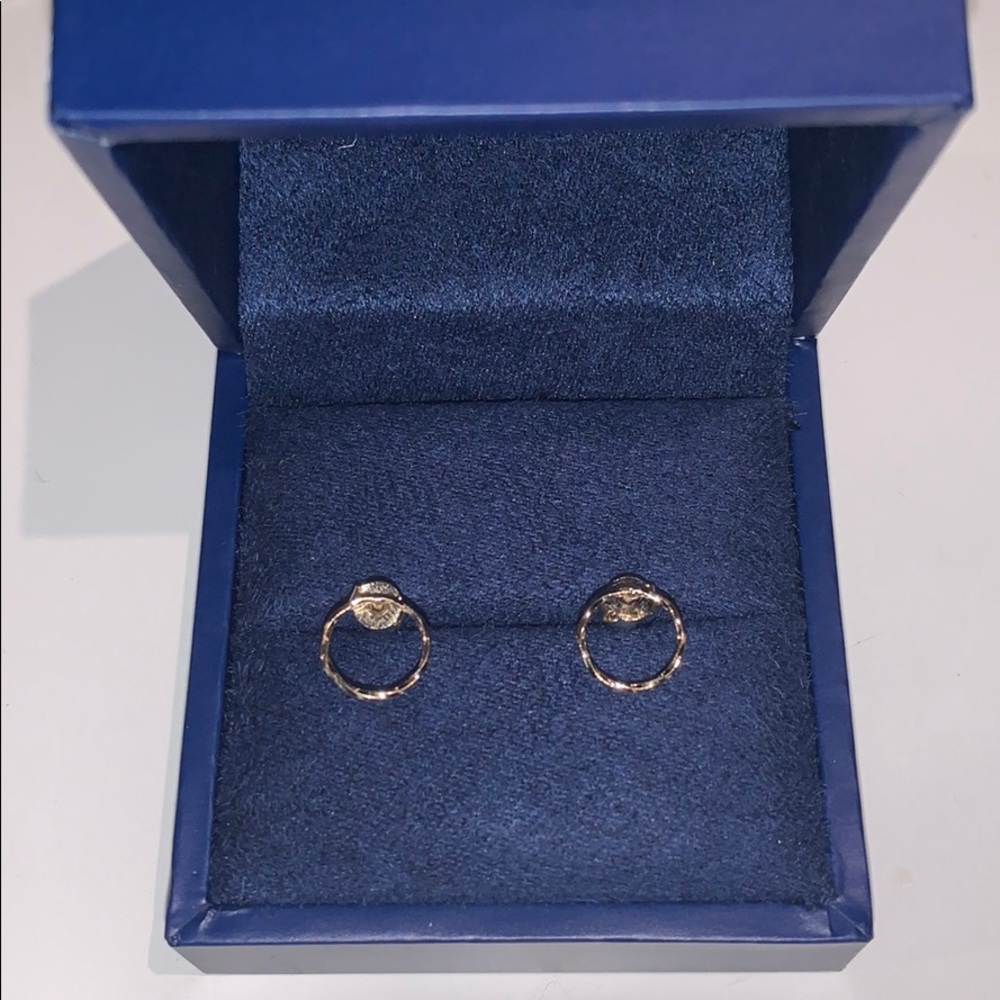 Gold small circle earrings